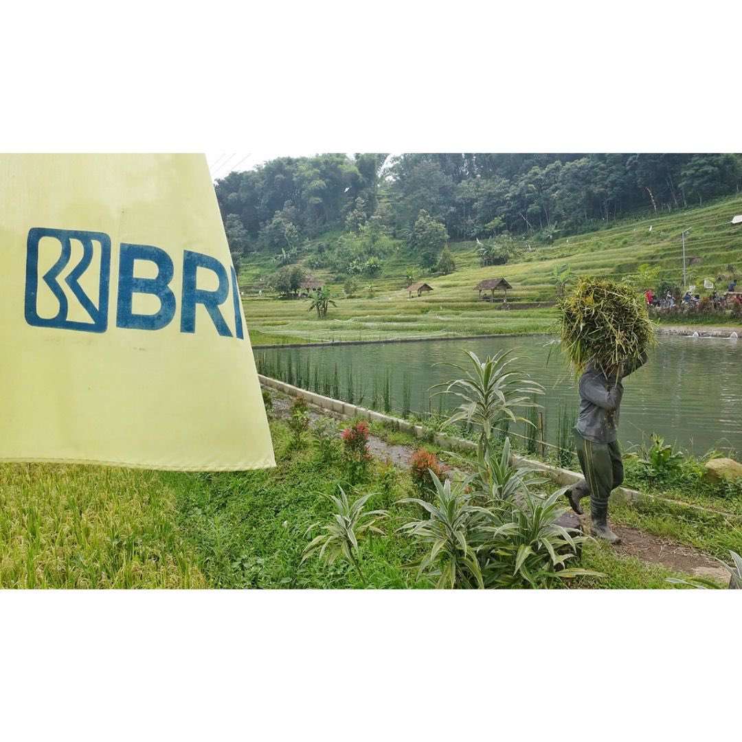 Metro_TV's tweet photo. Kunci agar Indonesia bisa keluar dari middle income trap (perangkap pendapatan menengah), yaitu Indonesia harus fokus dalam memaksimalkan kebutuhan nutrisi dan pangan, lalu menyejahterakan rakyat dengan memberikan pekerjaan
#BRI #MiddleIncomeTrap #Ekonomi #DirutBRI #Sunarso #MTVNAd