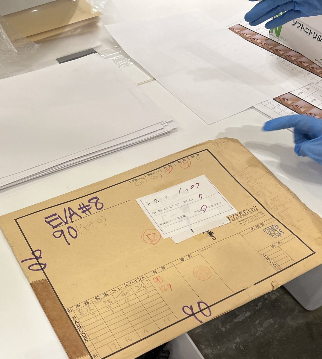 しぐまー tweet media