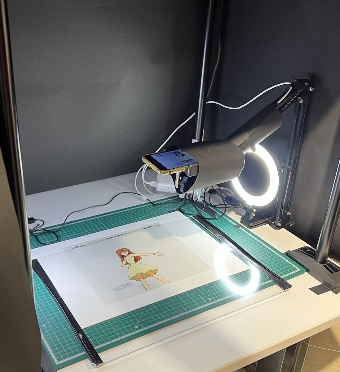 しぐまー tweet media