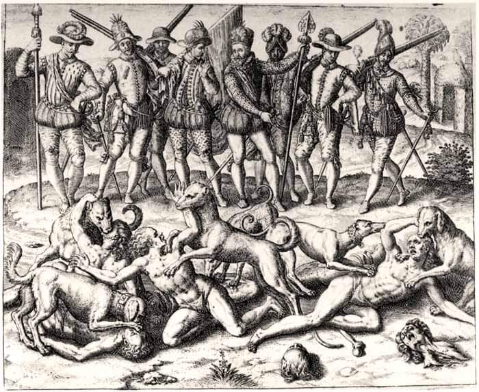 nancy28517010's tweet photo. POR FRAY BARTOLOMÉ DE LAS CASAS:

"Entraban los españoles en los poblados y no dejaban niños, ni viejos y tampoco mujeres preñadas que no desbarrigaran y los hicieran pedazos. Hacían apuestas sobre quién de una cuchillada abría un indio por medio o le cortaba la cabeza de un tajo.

Arrancaban a las criaturitas del pecho de sus madres y las lanzaban contra las piedras. A los hombres les cortaban las manos. A otros los amarraban con paja seca y los quemaban vivos. Y les clavaban una estaca en la boca para que no se oyeran los gritos.

Para mantener a los perros amaestrados en matar, traían muchos indios en cadenas y los mordían y los destrozaban y tenían carnicería pública de carne humana. Yo soy testigo de todo esto y de otras maneras de crueldad nunca vistas ni oídas".

Fray Bartolomé de las Casas (Brevísima relación de la destrucción de "las indias)