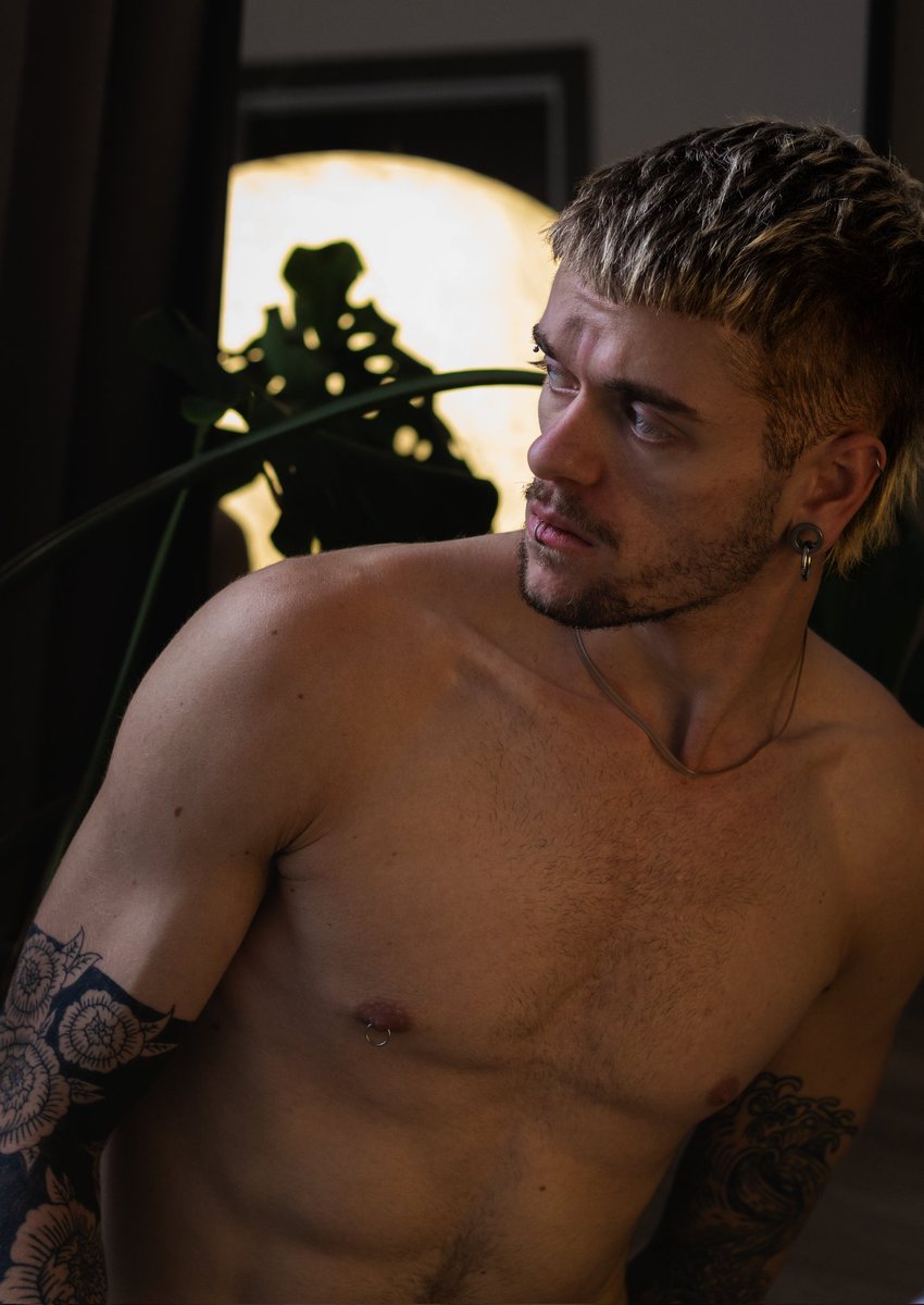 homo-graphy tweet media