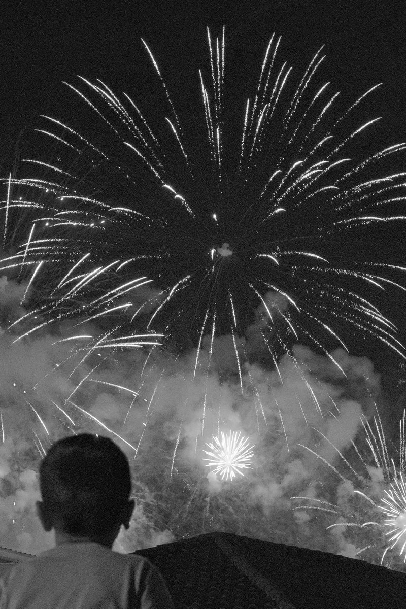 Thème 12 : bouquet (final) #31themesChallenge (je repost l’image au bon format)