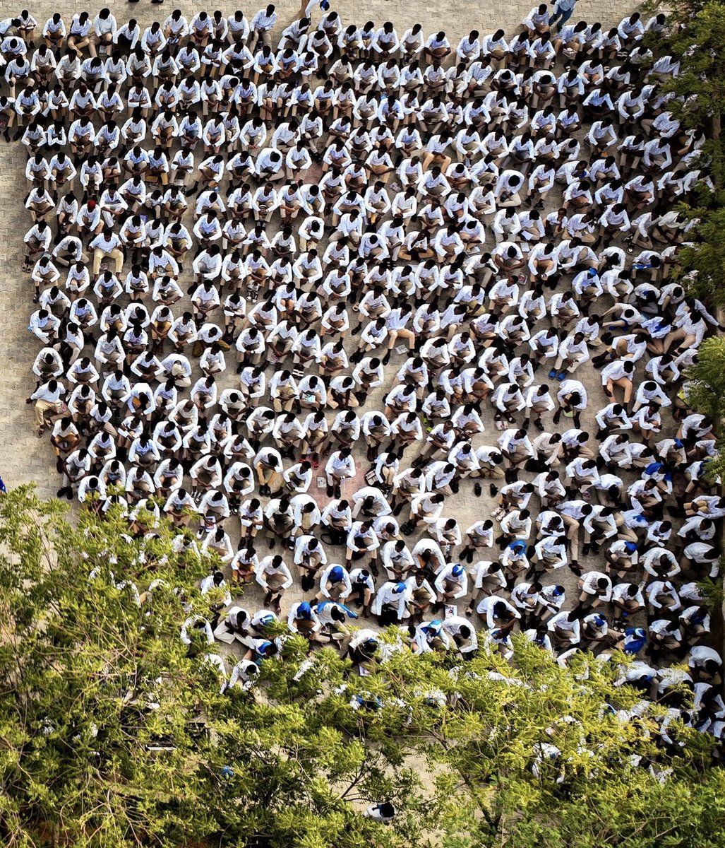 Dookhpress's tweet photo. This year, students from Gambool Secondary School celebrated the day, reflecting national pride and the ongoing hope for unity and peace in Somalia.

Courtesy: Mo Abdirahman, Dookh Press. 
#Dookhpress #SomaliFlagDay #October12 https://t.co/Zr8lD45Xoq