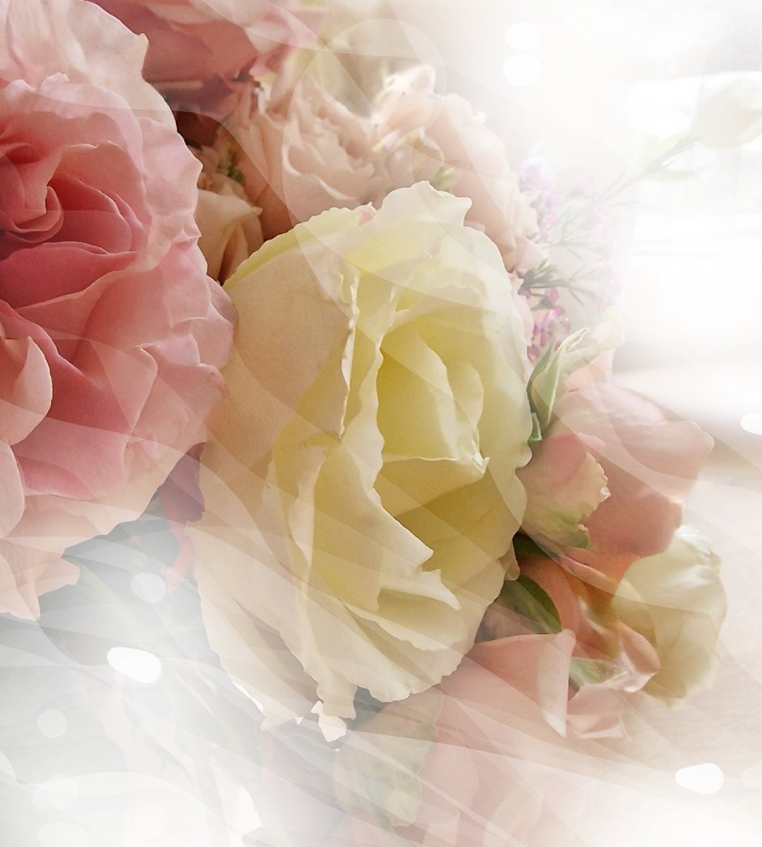 AngelaSimonini's tweet photo. Roses & Light🤍✨️
I hope your day today will be a happy one☀️
Love💕
Angela
.
#angelasimonini #art #painter #artandroses #rosesandlight #loveroses #loveforroses #rosegarden #garden #roses #rose #pink #pinkroses #whiteroses #beautyofroses #beauty #rosebouquet #loveflowers #lovenature #beautyofnature #nature #love #god #godislove #lovegod #alwayslove