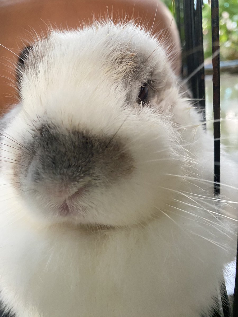 shetimeee's tweet image. 🫰🫰🫰