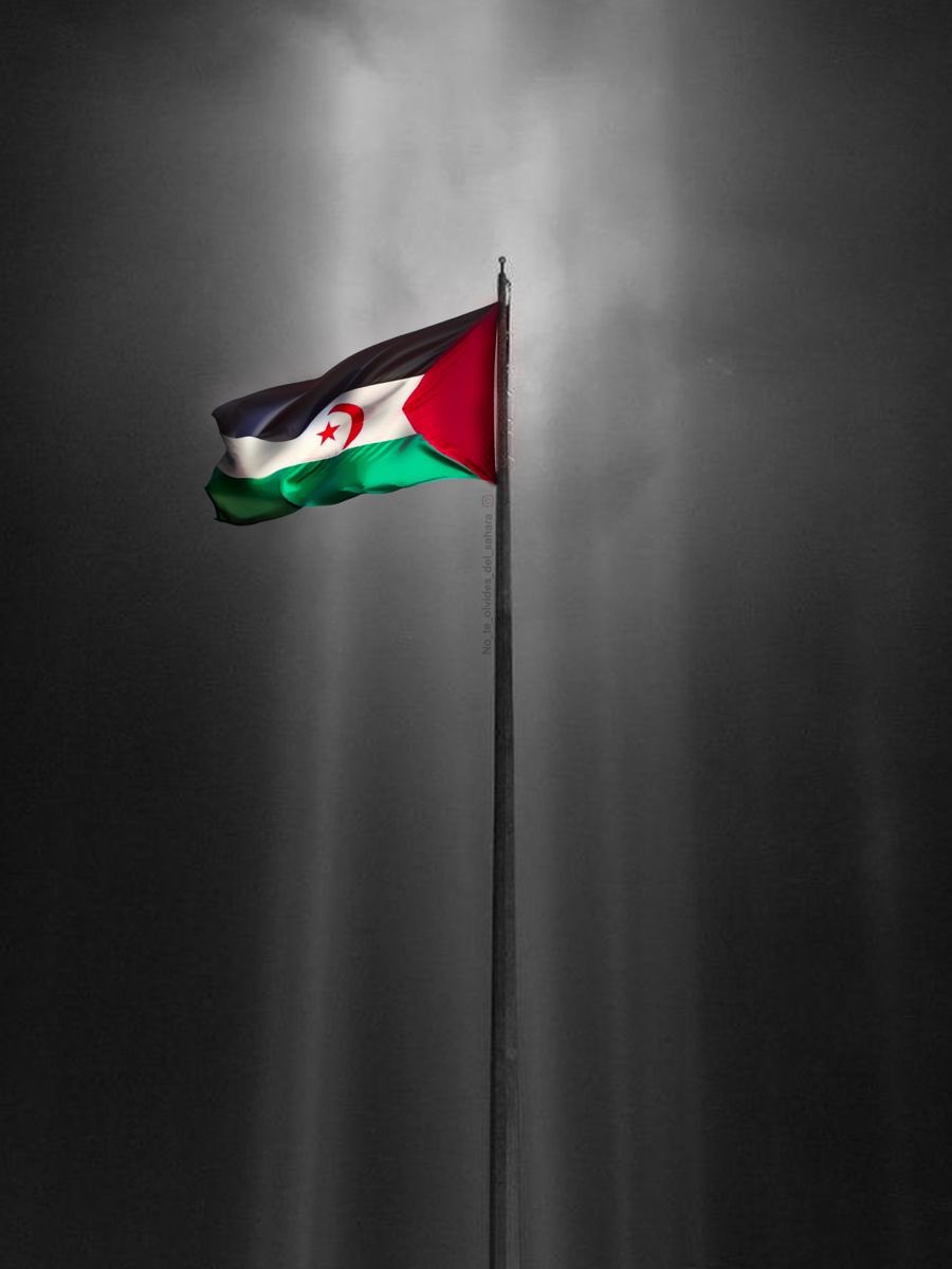 YasmineActu's tweet image. En ce 12 octobre, journée nationale de l&apos;unité du peuple sahraoui. Solidarité, soutien et affection à mes frères et soeurs sahraouis ❤️#FreeSahara 🇪🇭