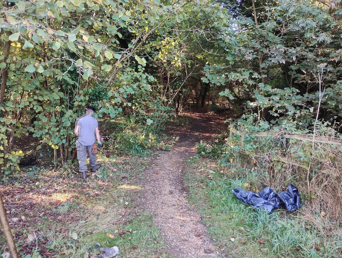 GreenwaysProj's tweet image. Before and after - coppicing along the path into Bourne Park reedbed - opening up the path to allow access for machinery to create new wetland habitat &amp;amp; the start of a major new path construction project. @IpswichGov @BaberghSuffolk @suffolkcc #pathwork #coppice #deadhedge