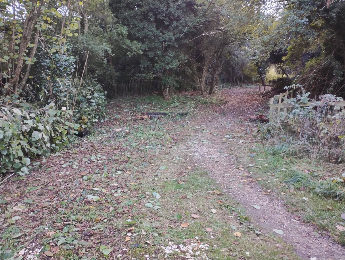 GreenwaysProj's tweet image. Before and after - coppicing along the path into Bourne Park reedbed - opening up the path to allow access for machinery to create new wetland habitat &amp;amp; the start of a major new path construction project. @IpswichGov @BaberghSuffolk @suffolkcc #pathwork #coppice #deadhedge