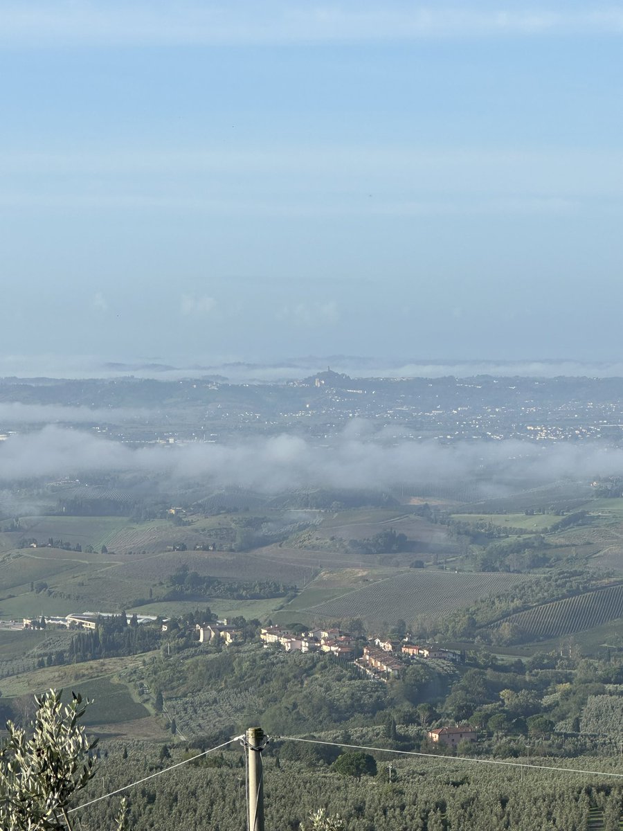 Se ci conosciamo qui sopra (ma anche fuori di qui) probabilmente sapete già che questo è il periodo dell'anno in cui per me si ferma tutto perché arriva il momento di cogliere quel tipo di drupe con cui fare l'olio di nonno Carlo.