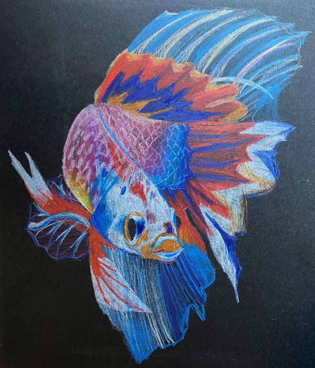 Miss. Alexander 🎨 (@miss_a_rt) on Twitter photo Another tough week to choose from…
Imisi and Hari in S3 are this weeks works of the week! unbelievably good coloured pencil skills from them both showing texture and realism in their observational drawing pieces!
Well done ⭐️
<a href="/stroch_exp_arts/">St Roch’s Expressive Arts</a> <a href="/St_Rochs/">St Roch's Secondary</a> Another tough week to choose from…
Imisi and Hari in S3 are this weeks works of the week! unbelievably good coloured pencil skills from them both showing texture and realism in their observational drawing pieces!
Well done ⭐️
<a href="/stroch_exp_arts/">St Roch’s Expressive Arts</a> <a href="/St_Rochs/">St Roch's Secondary</a>