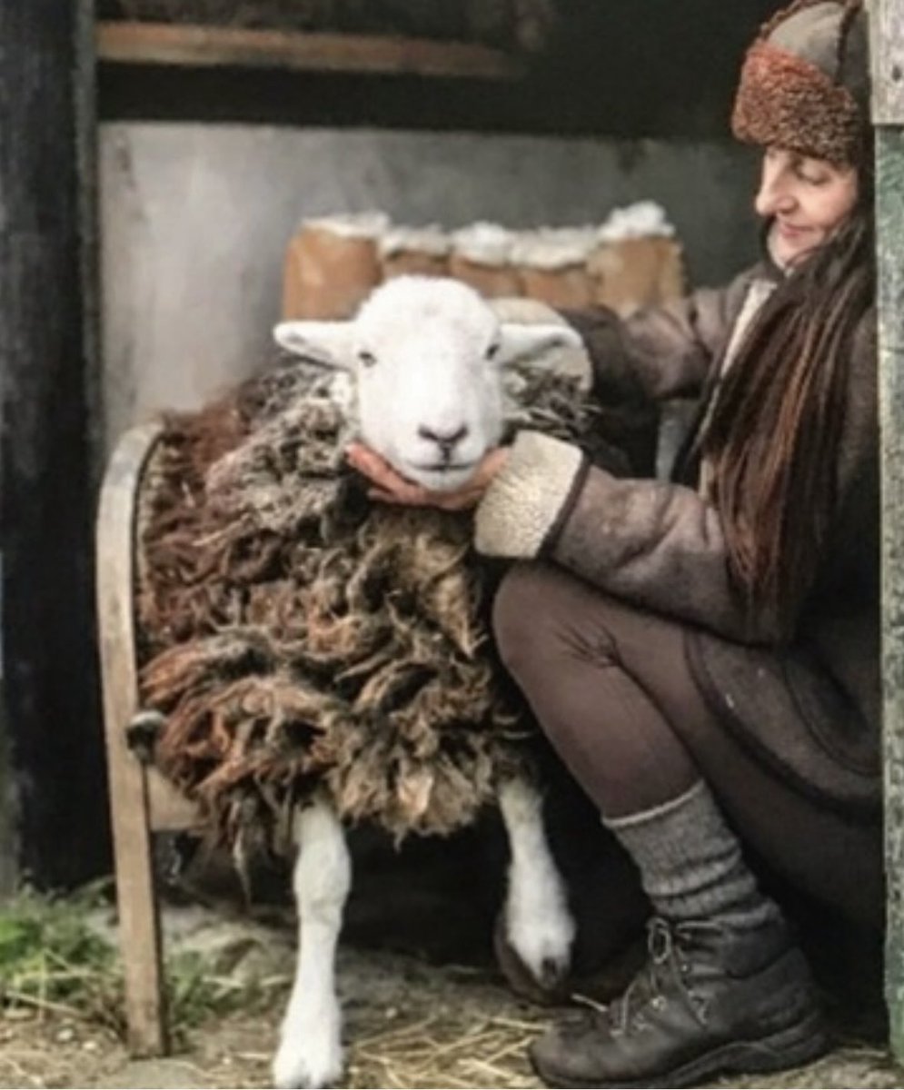 Alison O’Neill ~ Shepherdess tweet media