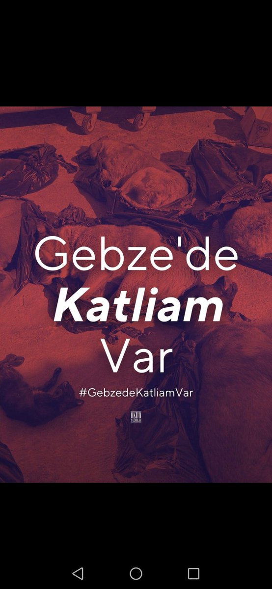 Beddua etmiyorum dua ediyorum; buna zemin hazırlayanların Allah belasını versin, ulan tıkmışsınız zaten barınağa neden öldürür sünüz neden? #gebzedekatliyamvar #yasayıgeriçek Türkiye
'de #başıboşköpek sorunu yok, vicdan yoksunu insan sorunu var...
