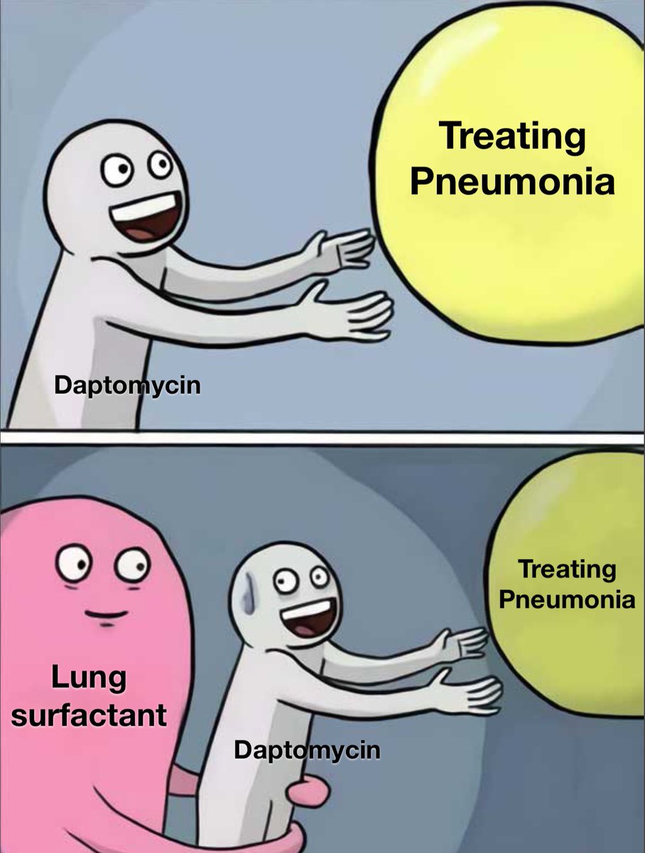 Daptomycin should never be used for pneumonia because it is inactivated by lung surfactant. 

pubmed.ncbi.nlm.nih.gov/15898002/ 

#LearnAntibiotics
