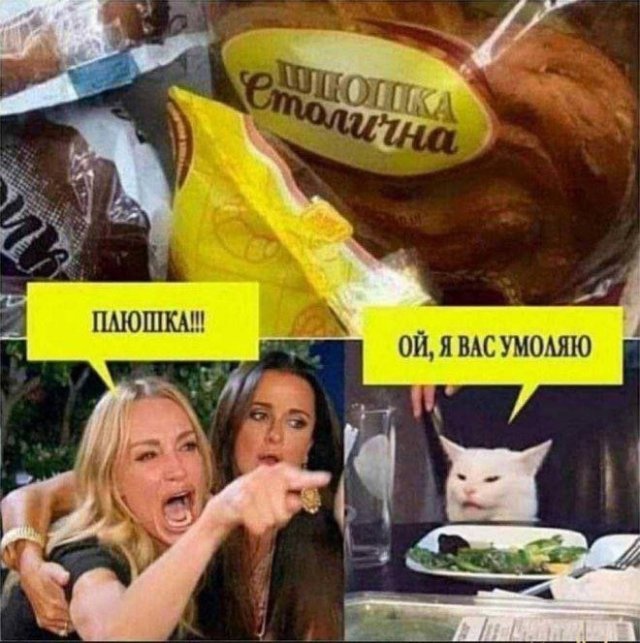 Кот, как всегда, прав!