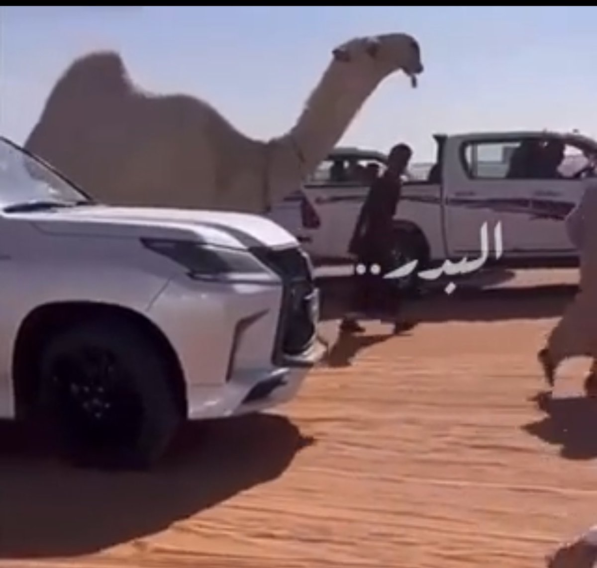 Abnkdees's tweet image. نقاش الفرايص عاد مجددا 

الفريصه طبيعية وموجودة وكانت في بعض المطايا والبعض ربطها بالعبث لوجود من يعبث بها……

ولو طبق هذا المبدأ على السبال الضافي فأيضا سندخل في دوامة و محاربة السبال…
فهل نقول الحلال الطبيعي والقديم بدون سبال .‼️