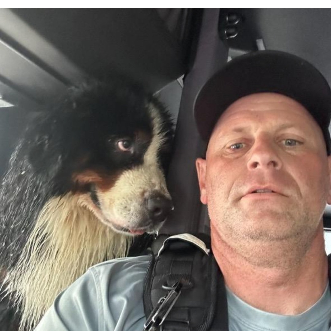 TReporta's tweet photo. El Cuerpo de Bomberos del Condado de Hillsborough, en Florida, compartió algunos de los momentos más conmovedores tras el azote del huracán #Milton.

"Los ojos de este perro lo dicen todo", publicó en su cuenta oficial, con imágenes de los equipos que han socorrido a 104 mascotas, y asegurado que nadie, humanos o animales, queden atrás. 

"Estamos increíblemente agradecidos por la oportunidad de servir y proteger a todos los miembros de nuestra comunidad, grandes y pequeños. Gracias a todos los que han apoyado estos esfuerzos. Juntos, superaremos esto y reconstruiremos", puntualizó. #TReporta