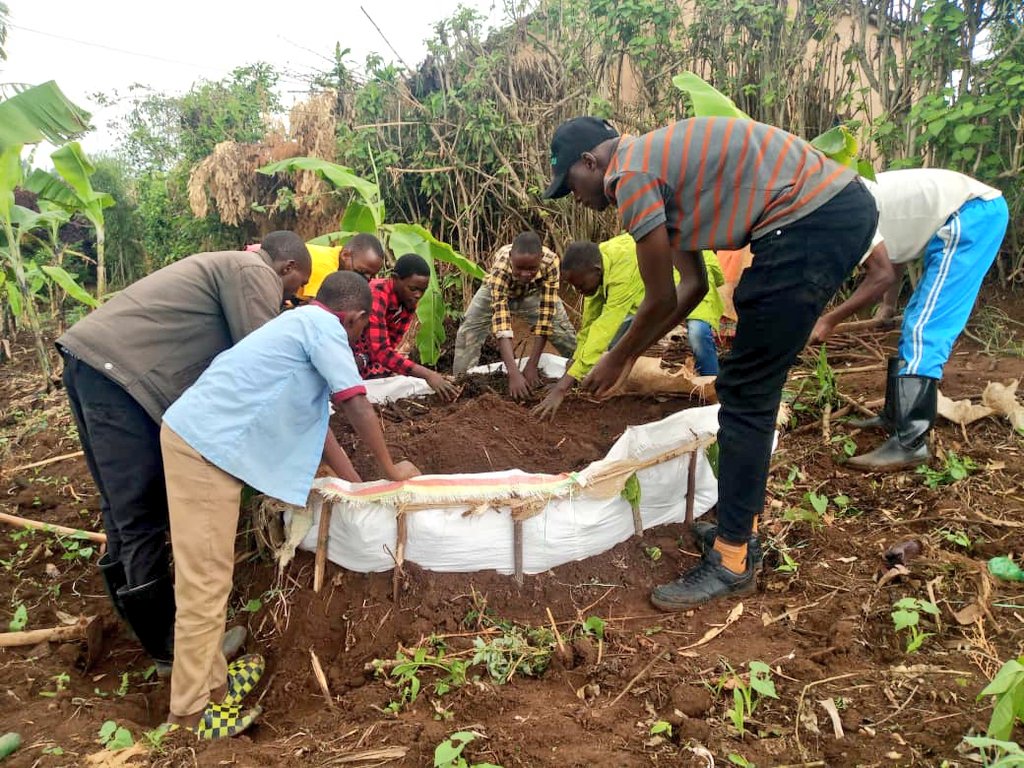 GicumbiN's tweet photo. Mu muganda wihariye w'urubyiruko @GicumbiDistrict  Urubyiruko rwa #Rutaresector bateye igishahuro Ku nzu y'umuturage utishoboye banubaka umurima w'imboga . https://t.co/62FOEEJjNL