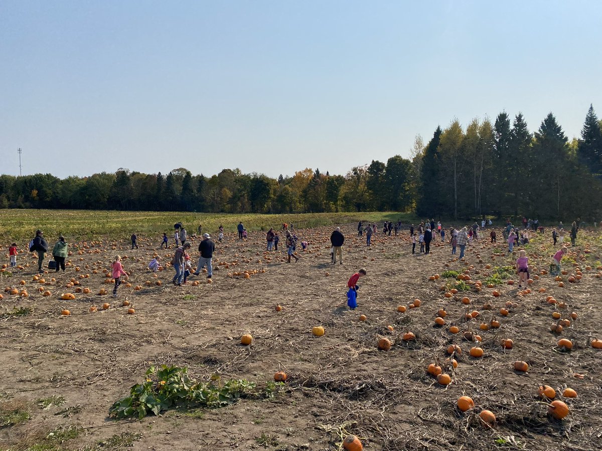 MillbrookSCavan's tweet image. One thing we’re thankful for at Millbrook South Cavan PS is the amazing and engaging experiences our educators provide to our students.  #MillbrookStaffRock #CommunityVolunteersRock