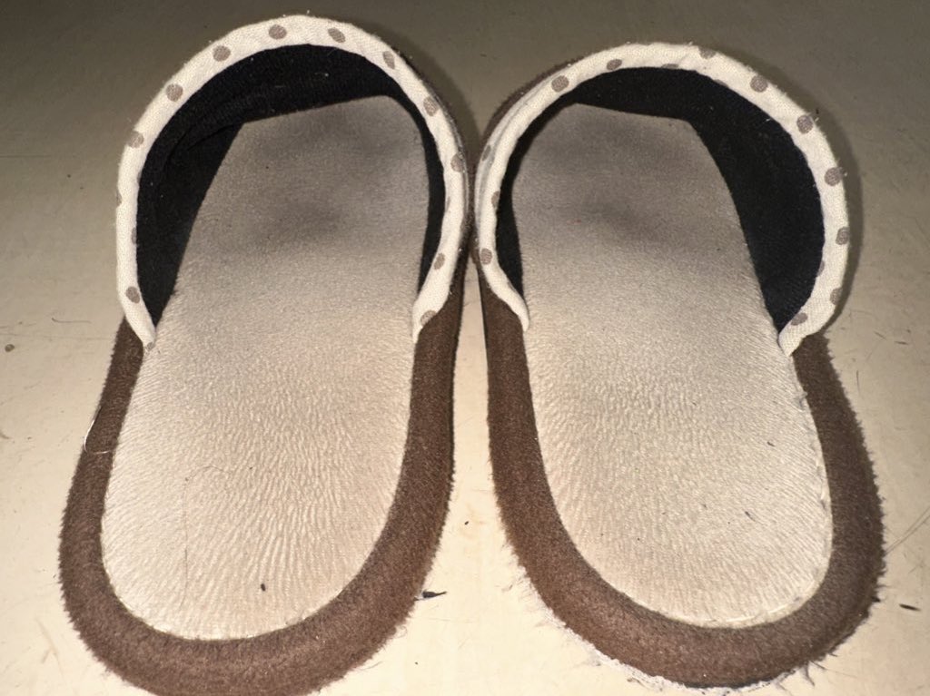 体育館周り行けず、別な場所へ
なんと楽器している子がいるじゃないですか。ブーツを少し楽しんだ後、40分程したら帰ったので、そのまま温もりあるスリッパを堪能してしまいました。