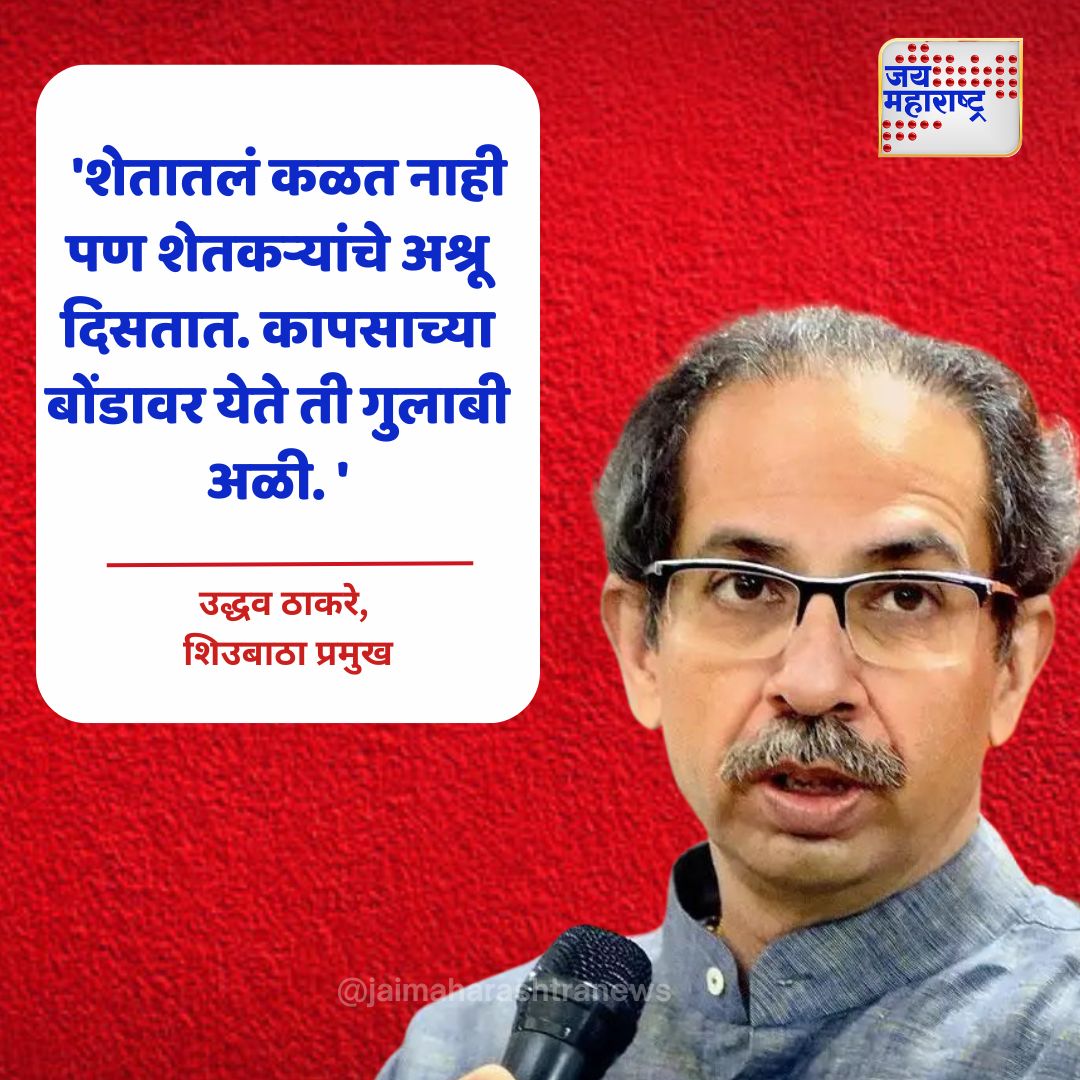 jaimaharashtran's tweet photo. शेतातलं कळत नाही पण शेतकऱ्यांचे अश्रू दिसतात. कापसाच्या बोंडावर येते ती गुलाबी अळी. - उद्धव ठाकरे, शिउबाठा प्रमुख
#UddhavThackeray #FarmersIssues #CottonPest #AgricultureCrisis #MaharashtraFarming @uddhavthackeray @ShivSenaUBT_ https://t.co/xK0HGCloaD