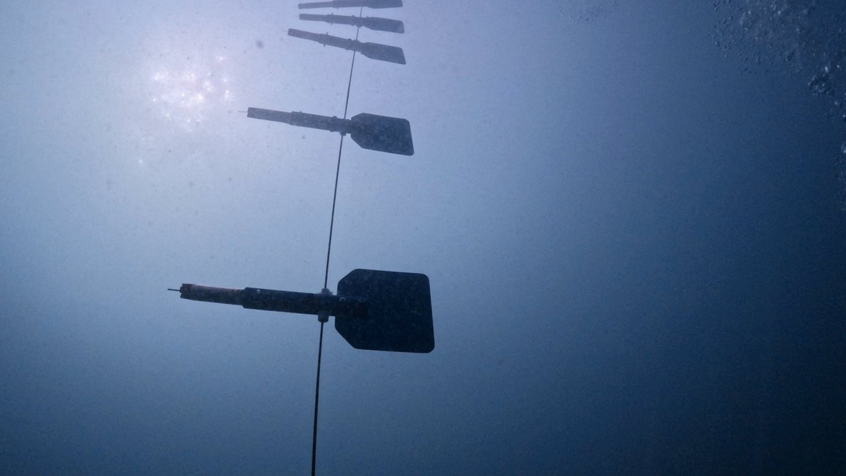 falsenafi's tweet photo. Over five years ago, we envisioned a simpler method to measure marine turbulence. Today, I’m thrilled to announce that we’ve successfully developed this innovative technique 🔥 🔥🔥special thanks to @kfasinfo @kuResearch @Moi_kuw https://t.co/Hw4eLPRyUR
