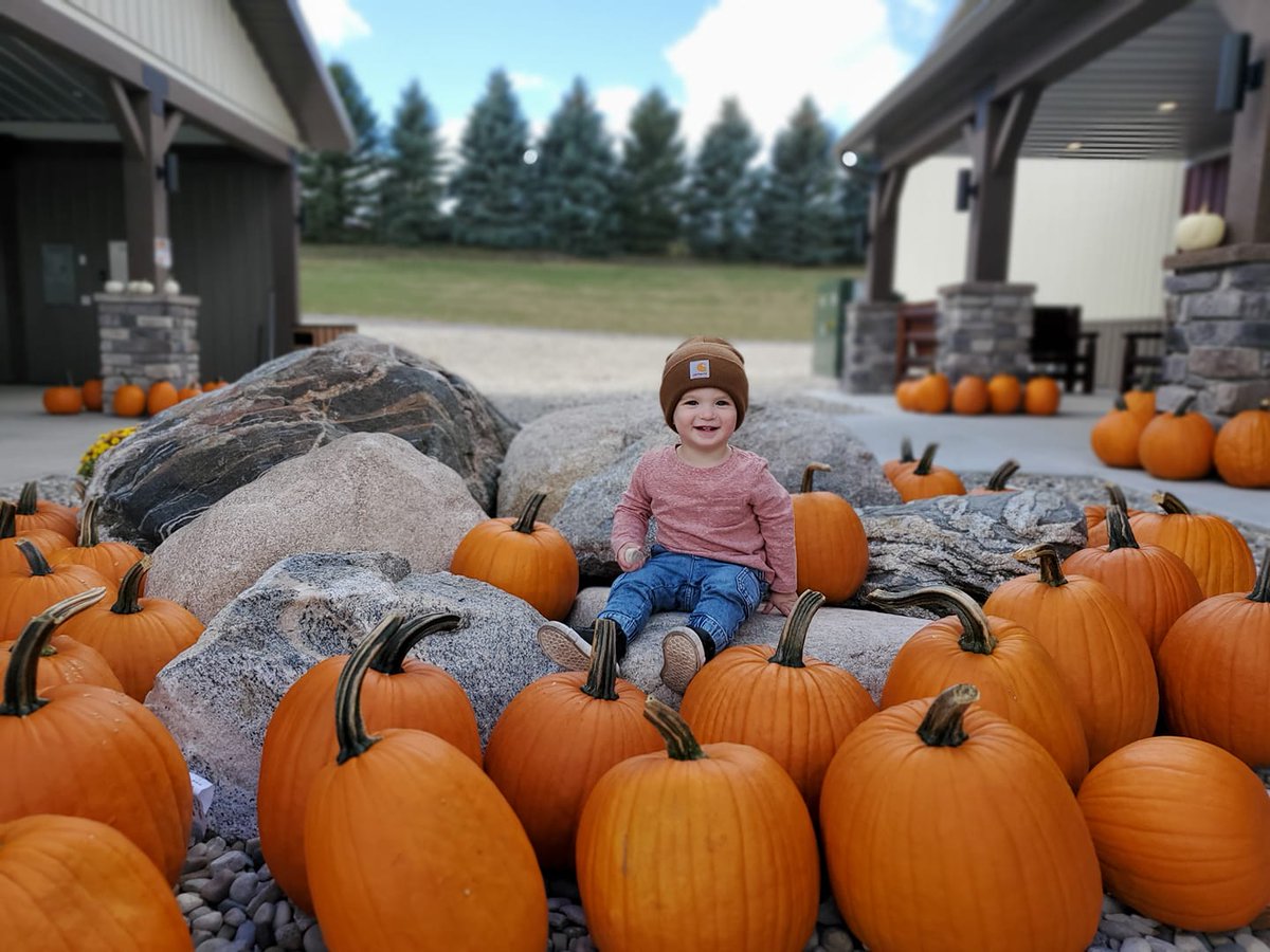 IVF Michigan & Ohio Fertility Centers tweet media