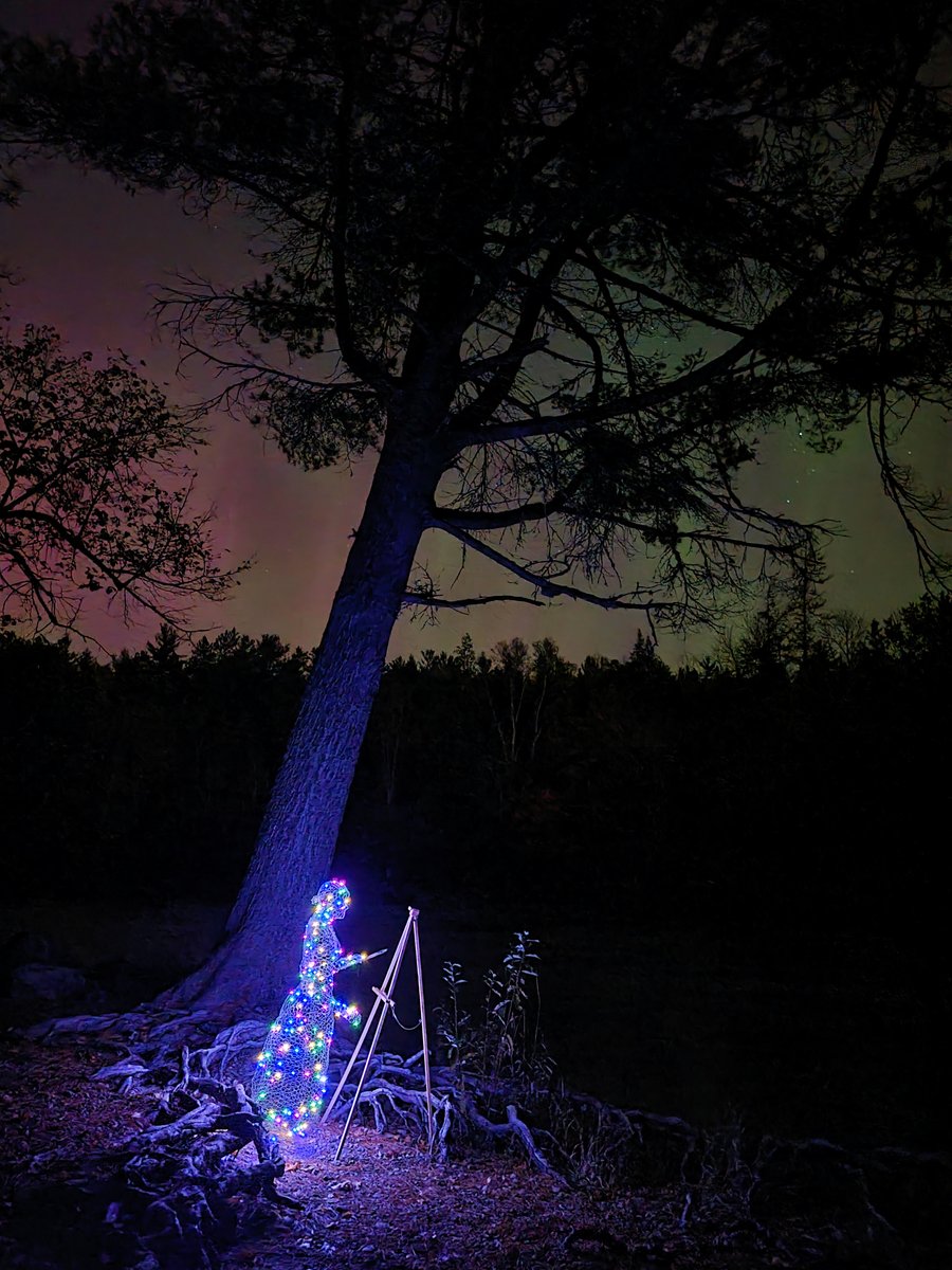 Adventures with Josie tweet media