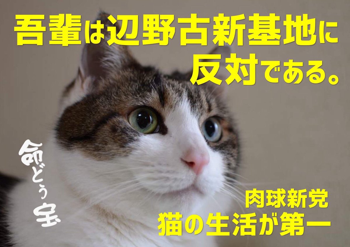 1975年 沖縄の地をはじめて踏み
そして海に抱かれていた
沖縄海洋博覧会の最中
海はどこまでも澄み熱帯魚が蘭夢していた
無責任な開発　戦火に散りし方々の遺骨を含んだ赤土を埋め立てに使い
珊瑚を殺しジュゴンの食べ物を奪い何が安全何が日米安保一度失いし
自然は二度と戻らない
#返して辺野古の海