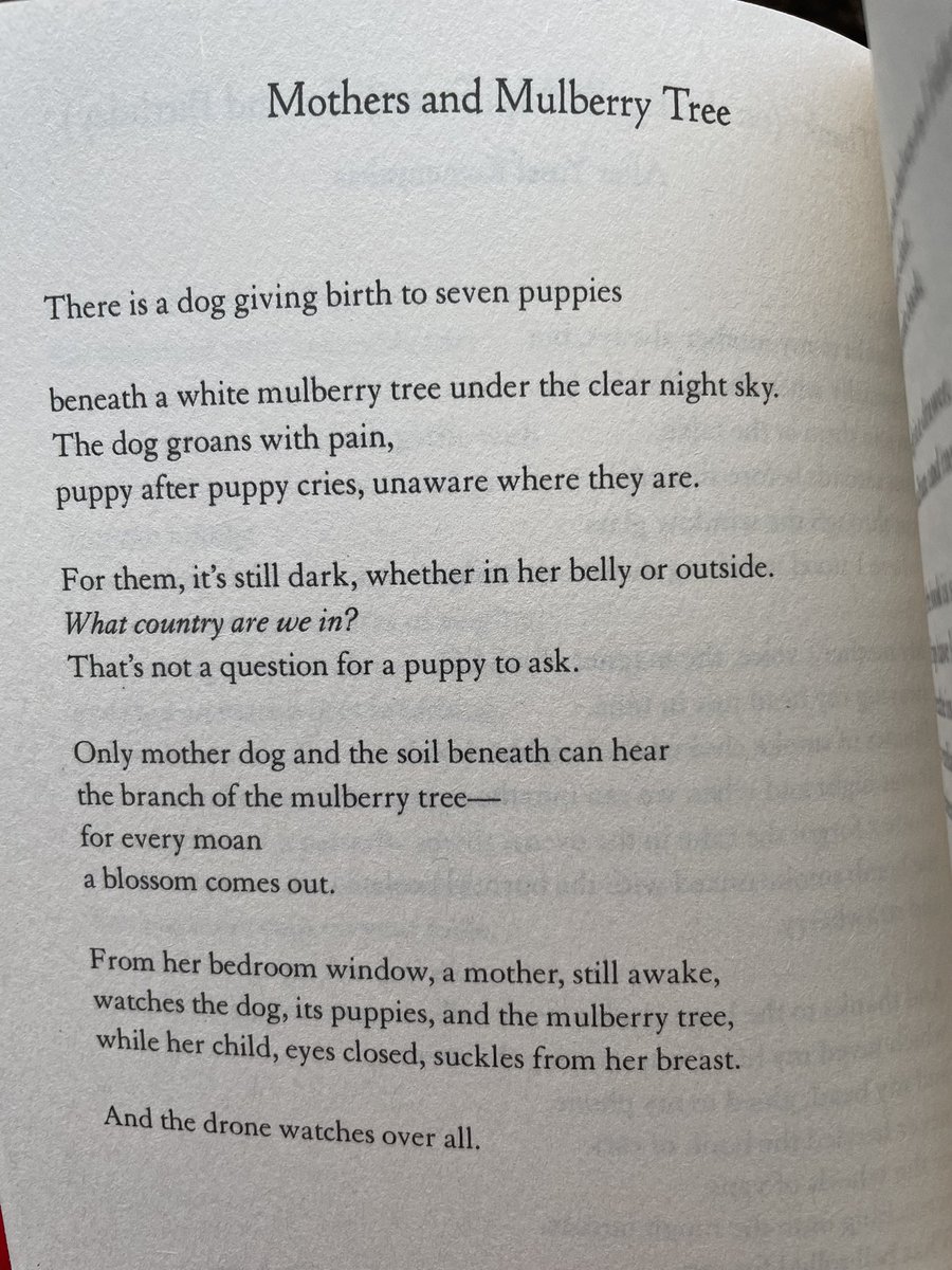NoreenMasud's tweet photo. I don’t know what it will take to make our leaders and our media care about Gaza, but if poetry has any power thank god we have @MosabAbuToha. What a gift. What a precious life. Out 7 November in the UK. Buy, read, share, shout https://t.co/Oze7IjcLMg