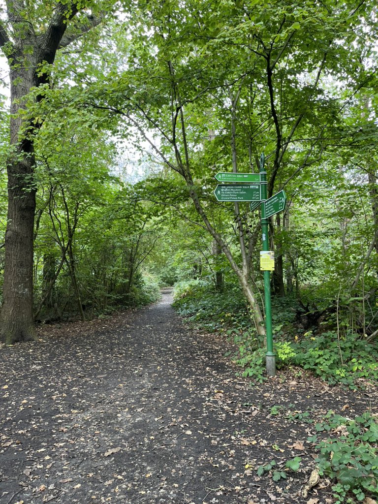 clairenfish's tweet photo. Capital Ringing. Falconwood to Grove Park (home of the Railway Children). A short leg passing Eltham Palace with some good trees. I do like a good tree. It’s definitely Autumn. #capitalring #greenchainwalk #keeponwalking https://t.co/vmGn4zpTnN
