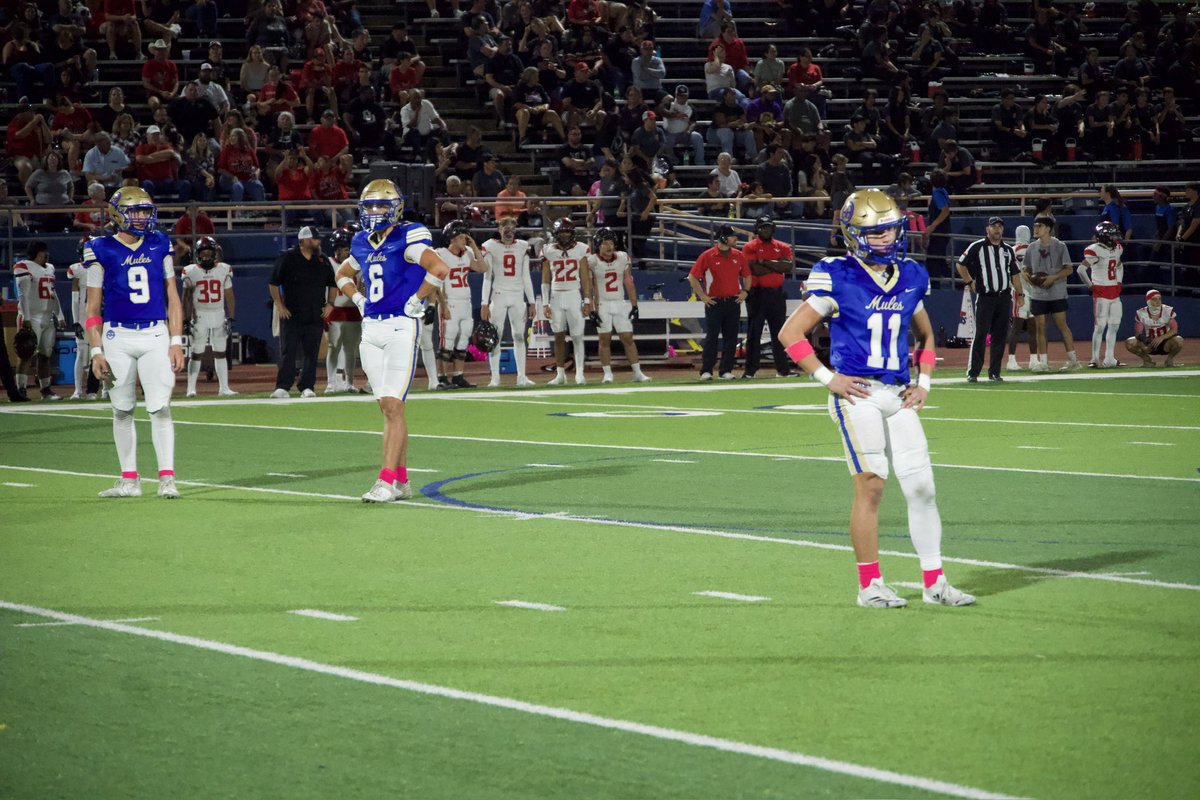 Along The Wire tweet media