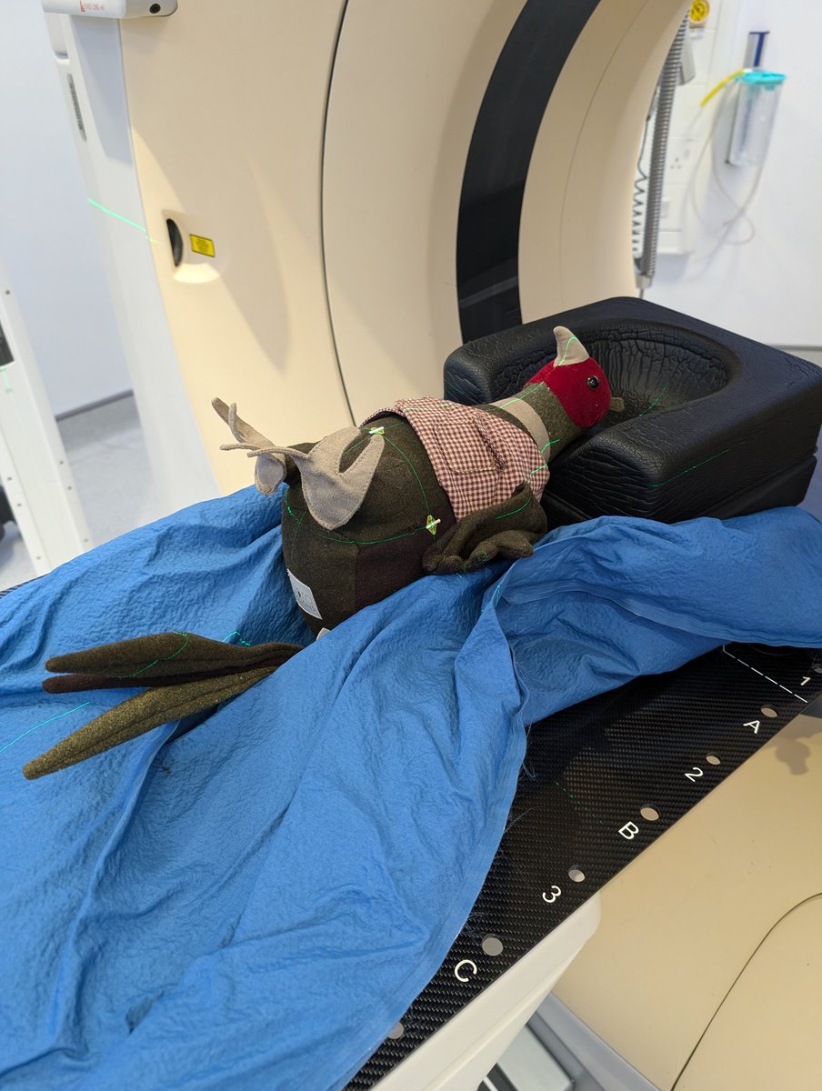 sgwrad's tweet photo. Phil the pheasant is helping me explain radiotherapy pre-treatment today for #leedsradiotherapyopenday Here he is all lined up in a vac-bag ready for his radiotherapy planning CT. https://t.co/6tPQxAIJBY