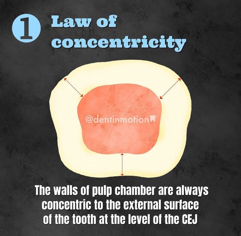 Dr.Doaa🧠🦷🇵🇸 tweet media