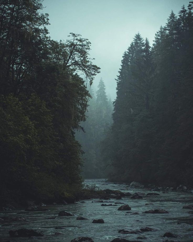 𝕰𝖑𝖊𝖒𝖒𝖎𝖗𝖊 (@elemmiressoul) on Twitter photo 