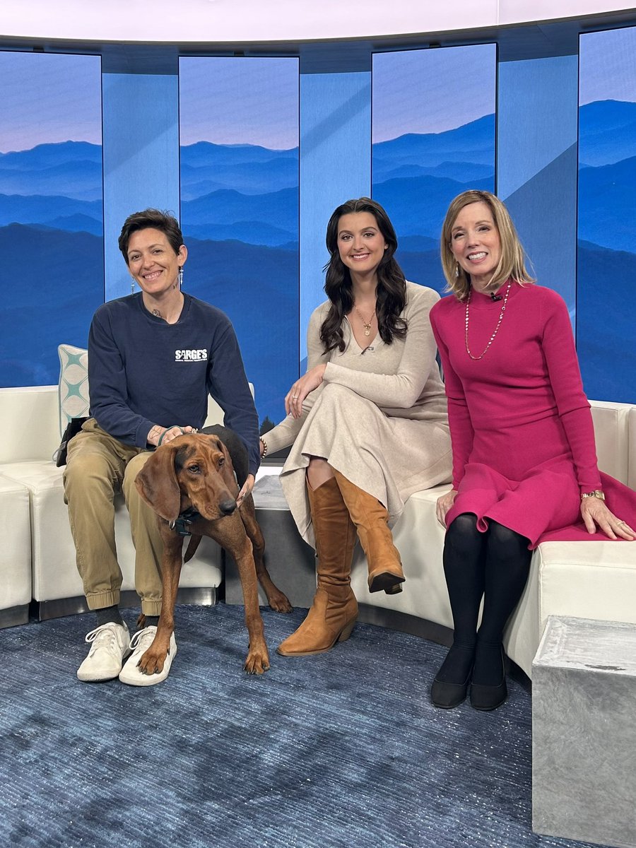 Gracee Mattiace tweet media