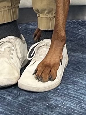 Gracee Mattiace tweet media