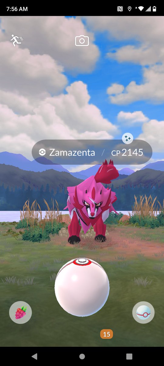 Let's go . . . ! My second shiny, lol. ✨✨✨ #PokemonGo #Shiny #Pokemon #Zamazenta #GottaCatchThemAll