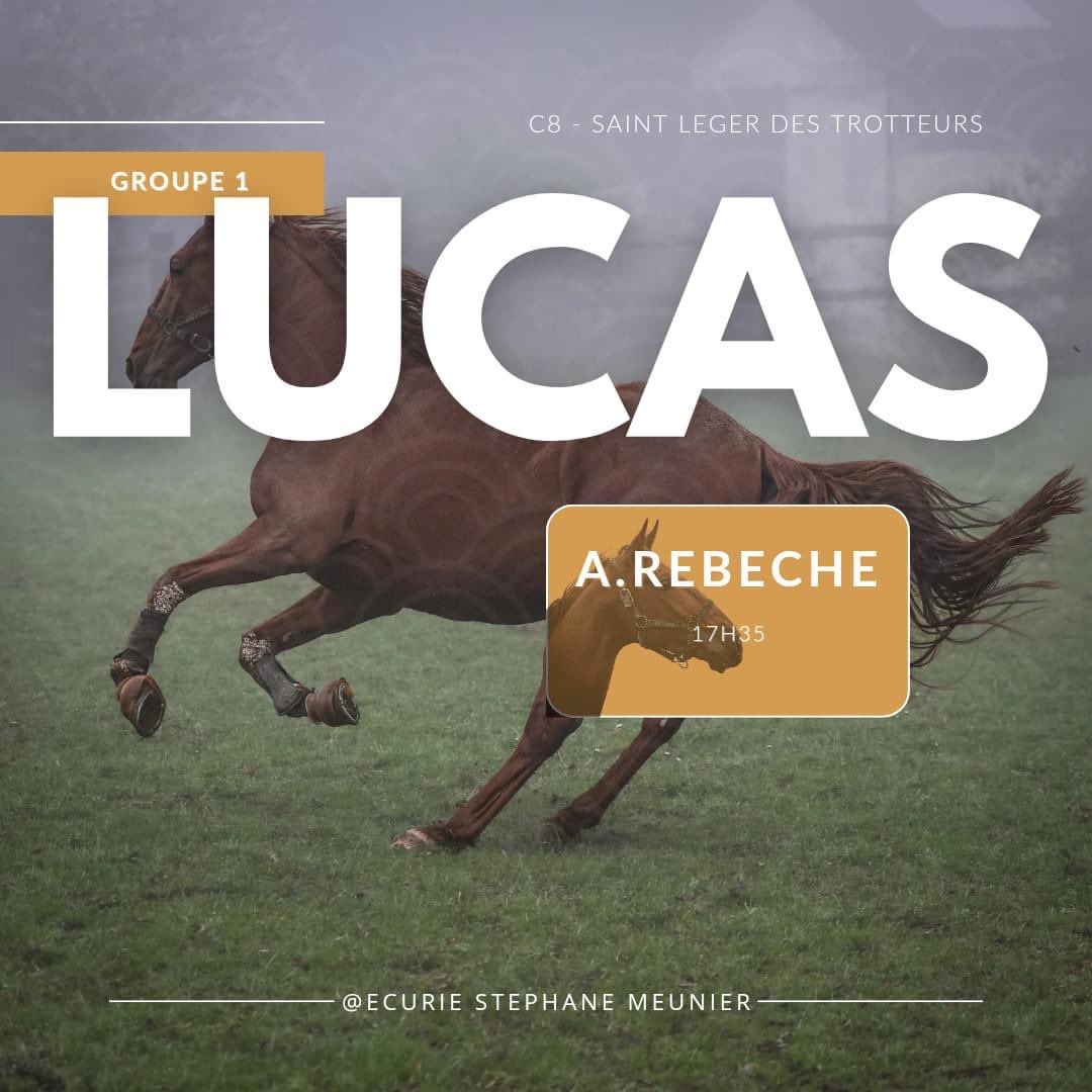 Lucas sera aujourd’hui au départ de la légendaire épreuve Groupe 1 Monté pour les 3 ans à l'hippodrome de Caen ! 16 partants, 150 000 € en jeu 🏆

Saint Léger des Trotteurs 🏁