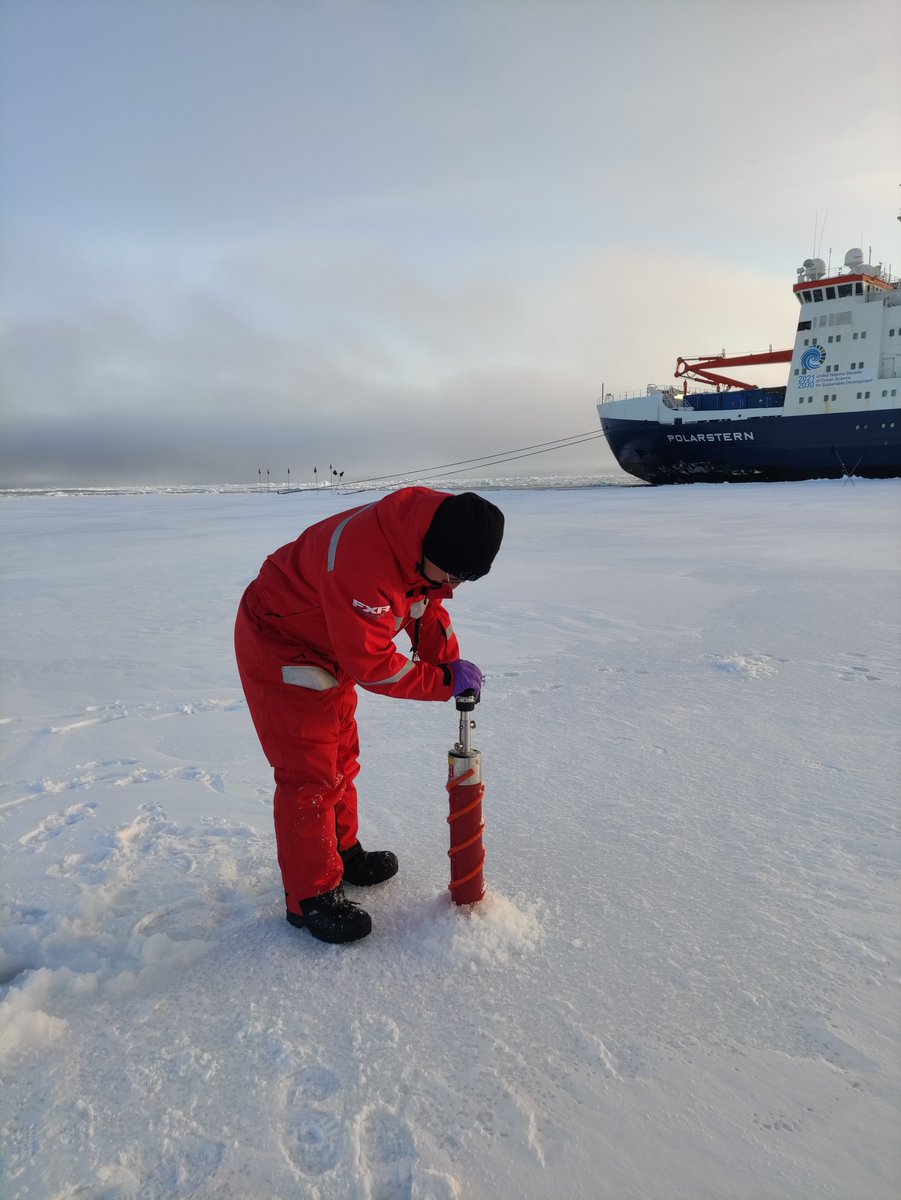 Andreia Rodrigues tweet media