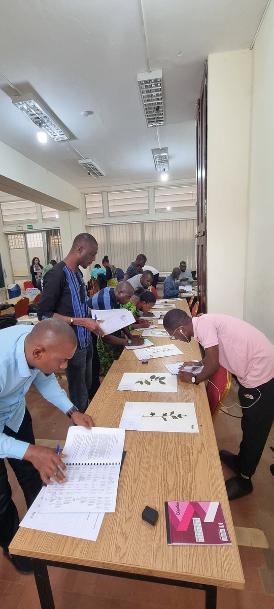 HerbierGuinee tweet media