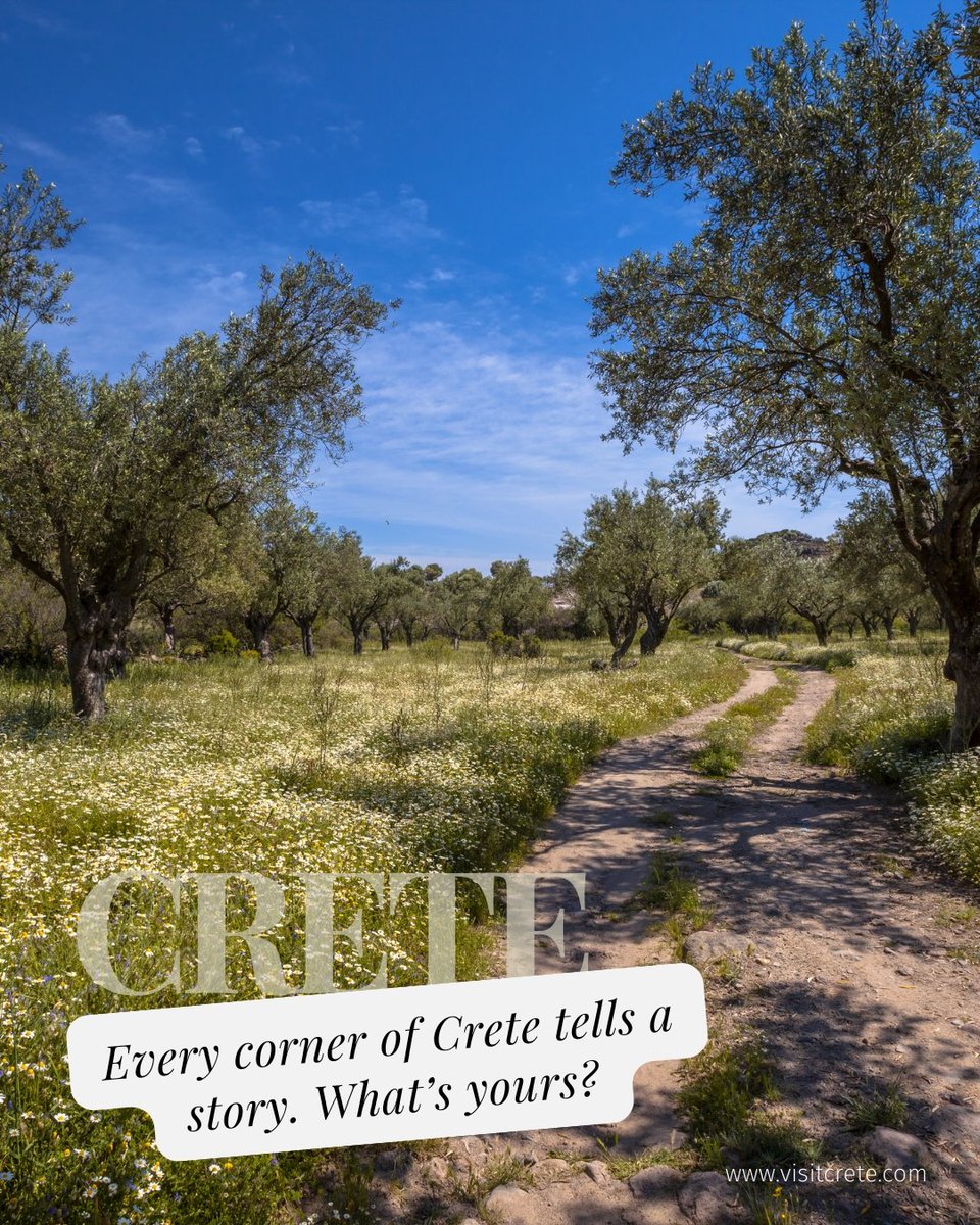 Every corner of Crete tells a story. What’s yours? 📖

#VisitCrete #Crete #CreteEssence