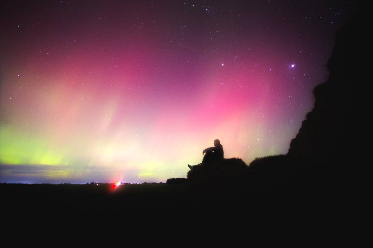 Brandon Newfield tweet media