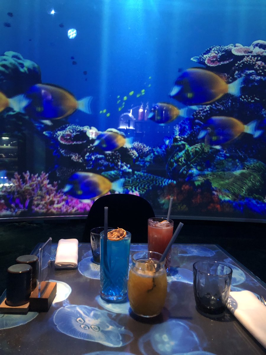 francepierron's tweet image. Sous l’océan 🎶🐠🫧
#UnderTheSea