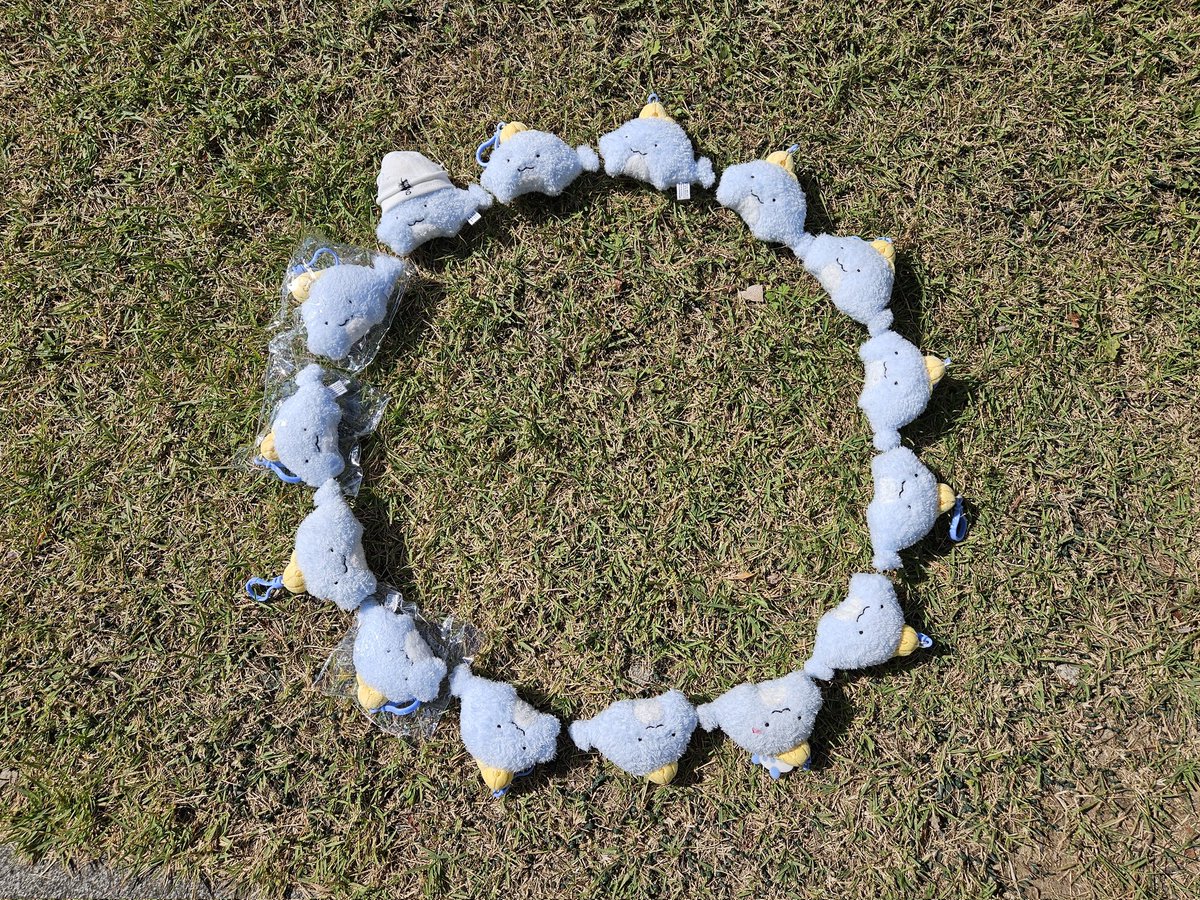 오늘 제일 웃겼던거 공유해드립니다
15명의 인형 잠뜰 마법진
모두의 잠뜰을 모아 완성함

맨마지막은포토바이굮.님