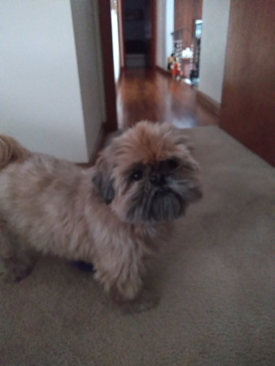 All Ewok pages have to be run by Bayley the Ewok consultant.