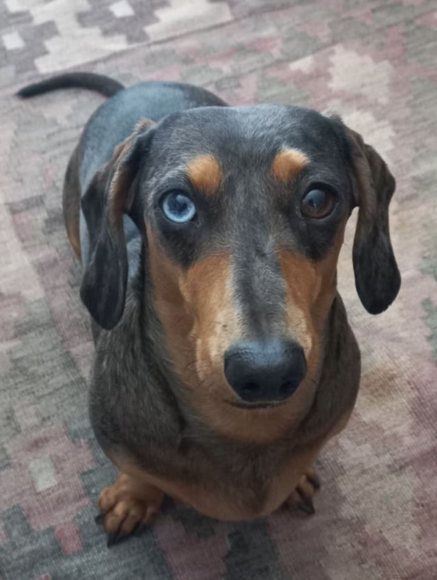 Lulu dra altyd by tot die ontwikkeling van die mensdom se lagspiere. 
Ek kan my verkyk na jou. ❤️