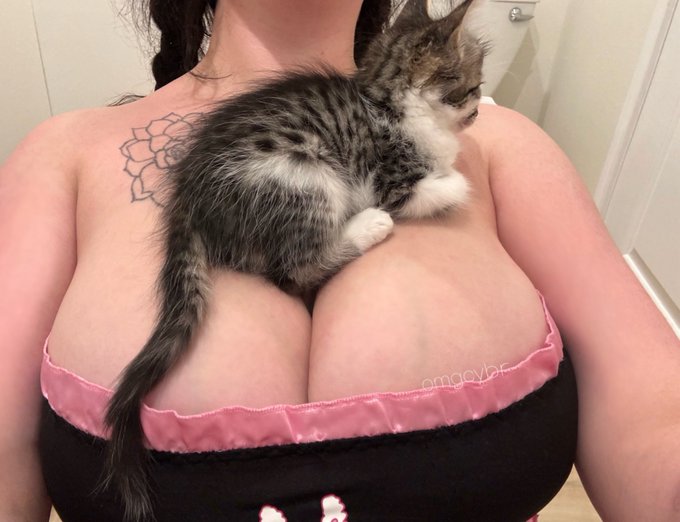 Kitty_princess