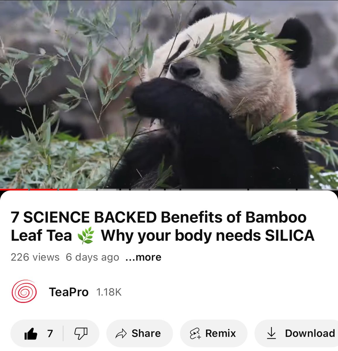Did you know that Pandas are actually CARNIVOROUS, but choose to eat bamboo instead? 🐼 🤯 

Watch the full video for more fun facts 👇
youtu.be/Fll_CCzHnJI?si…

#saturdayfun #SaturdayMood #LoveIsBlindHabibi