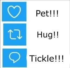 how will you show affection to shiny Eevee?