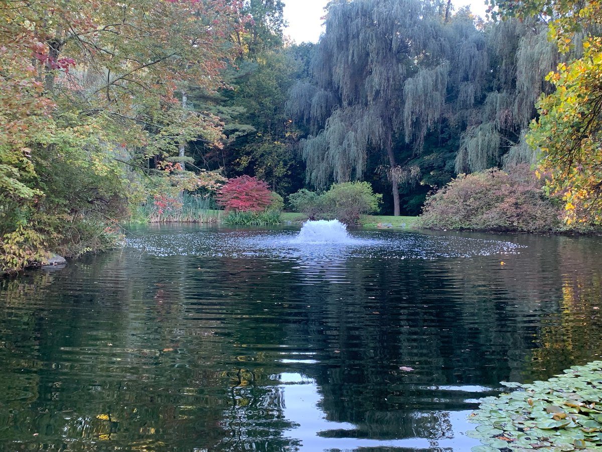 thepondandlake's tweet image. Surface aerators are a game-changer for your pond ecosystem. Imagine crystal-clear water, thriving fish populations, and a stunning natural habitat right in your backyard! 🌿🐠 #SleepyHollowNewYork #PondAerator #FreshWaterFun